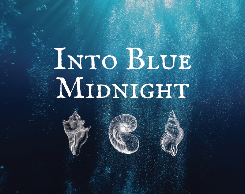 Cover image for Into Blue Midnight