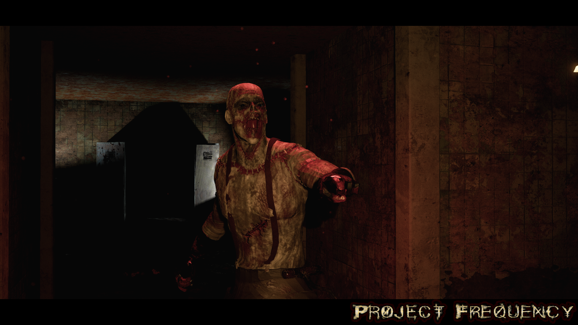 Cover image for Project Frequency