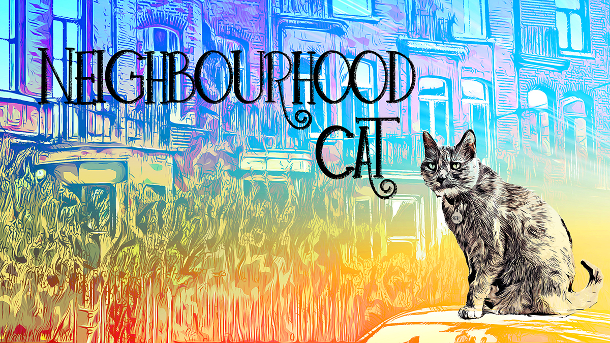 Neighbourhood Cat
