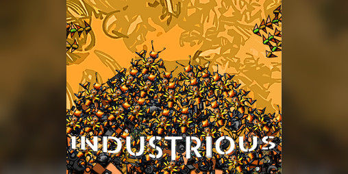 Cover image for Industrious