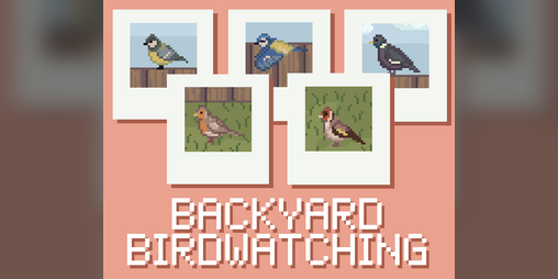 Cover image for Backyard Birdwatching