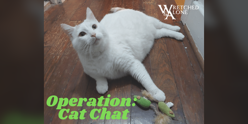 Cover image for Operation: Cat Chat