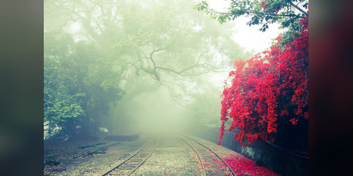 Cover image for TransPotter