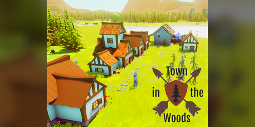Cover image for Town in the Woods