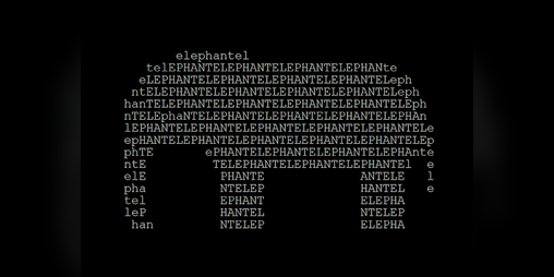 Cover image for The Elephant in the Room