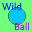 Wild Ball