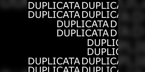 Cover image for Duplicata