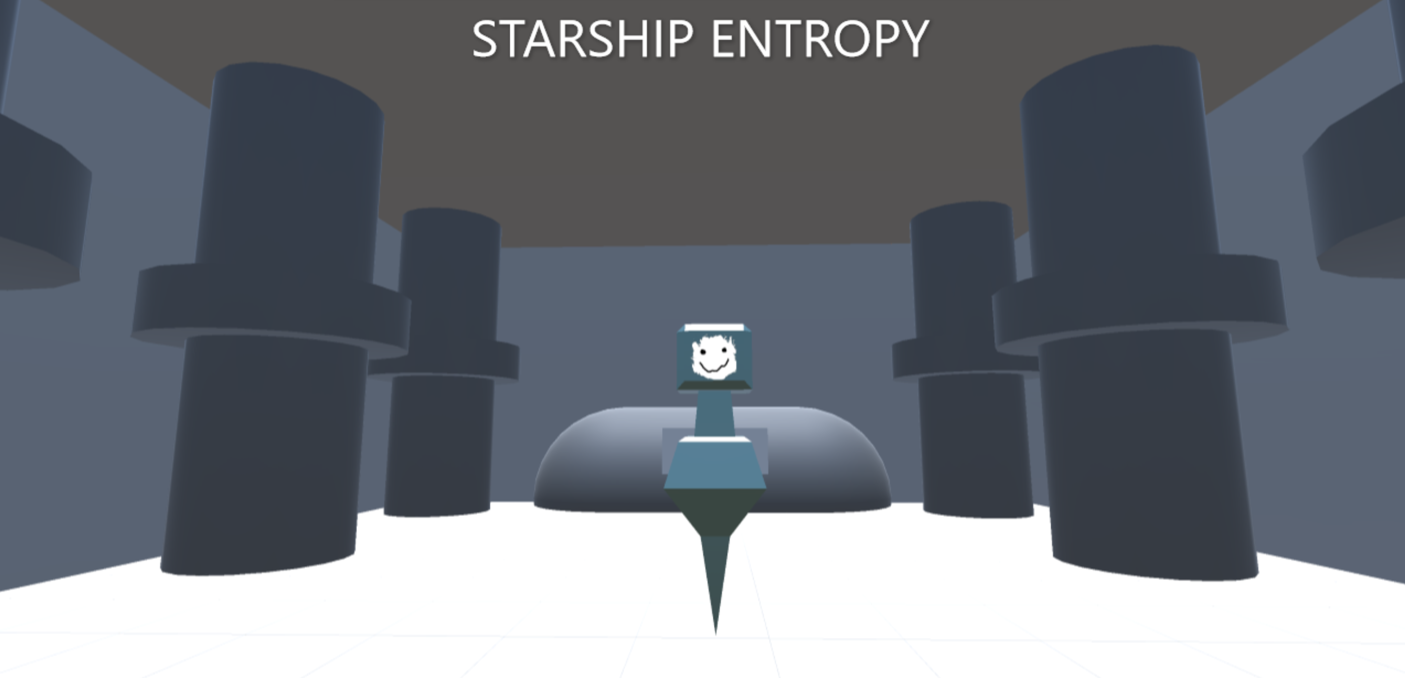 Starship Entropy