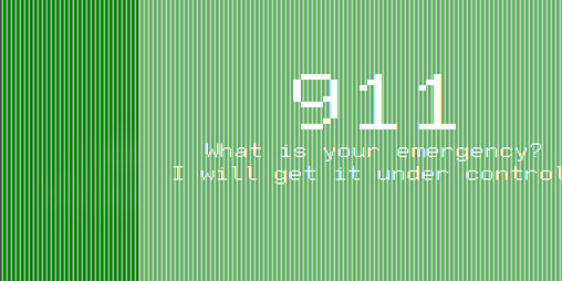 Cover image for 911