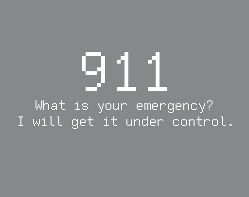 Cover image for 911