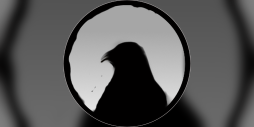 Cover image for A Penguin Walks Into a Bar