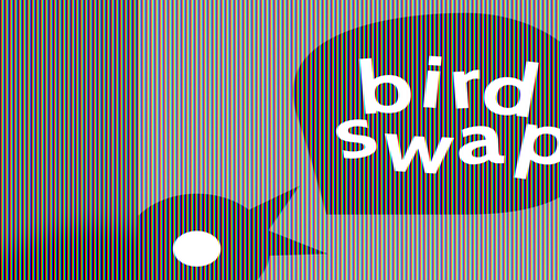Cover image for Birdswap