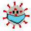 CoroGuard