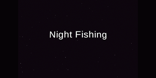 Cover image for Night Fishing