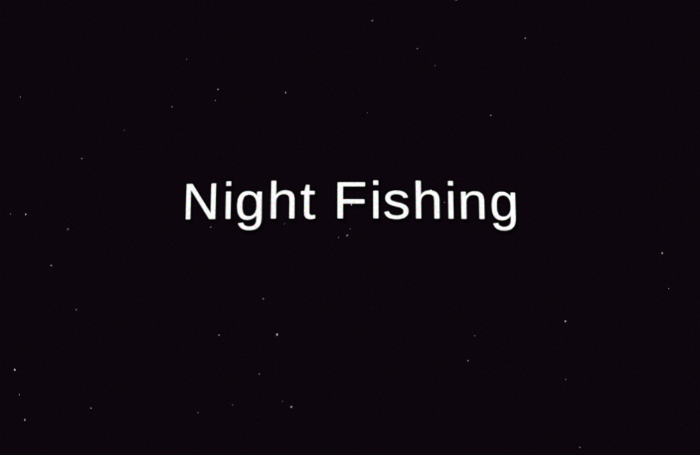 Cover image for Night Fishing