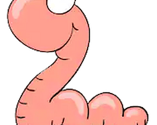 Nuggit