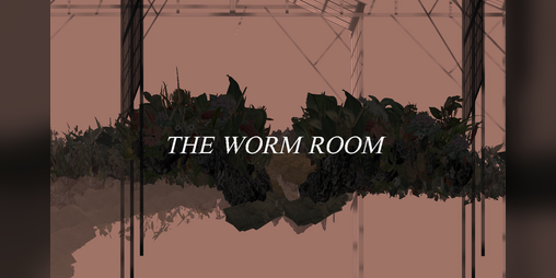 Cover image for The Worm Room