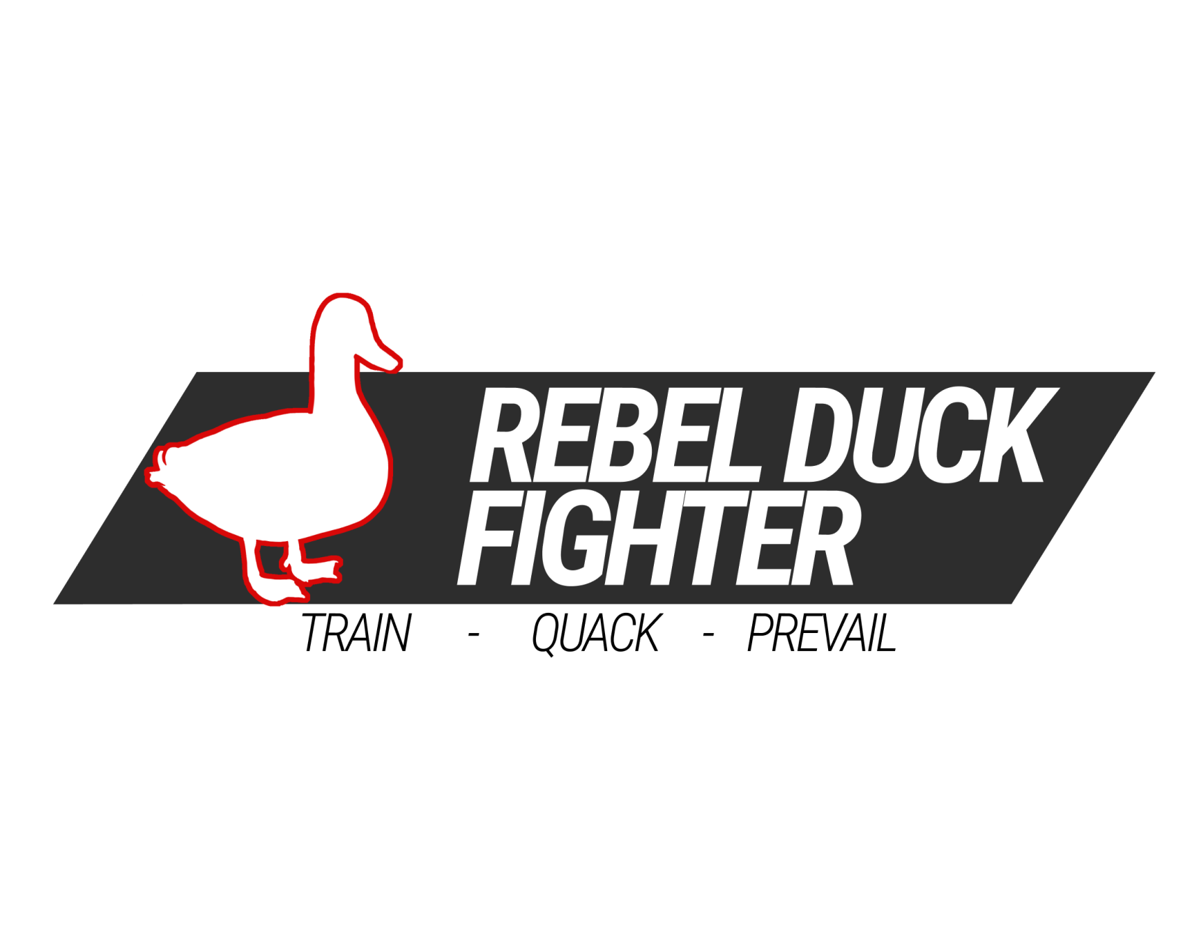Cover image for REBEL DUCK: FIGHTERS