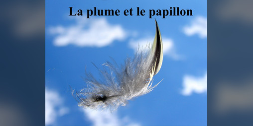 Cover image for La plume et le papillon