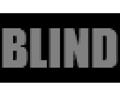Cover image for Blind