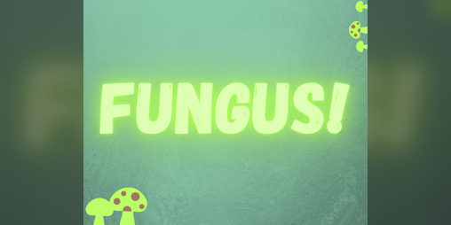 Cover image for FUNGUS!