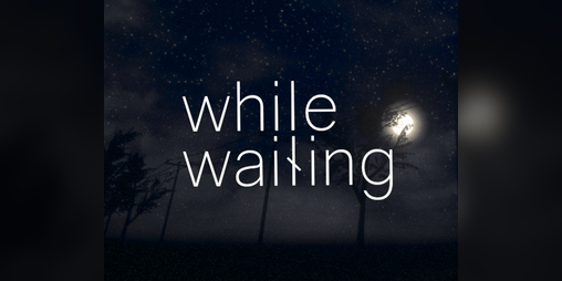 Cover image for While Waiting