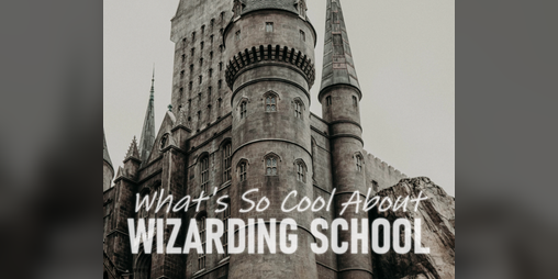 Cover image for What's So Cool About Wizarding School