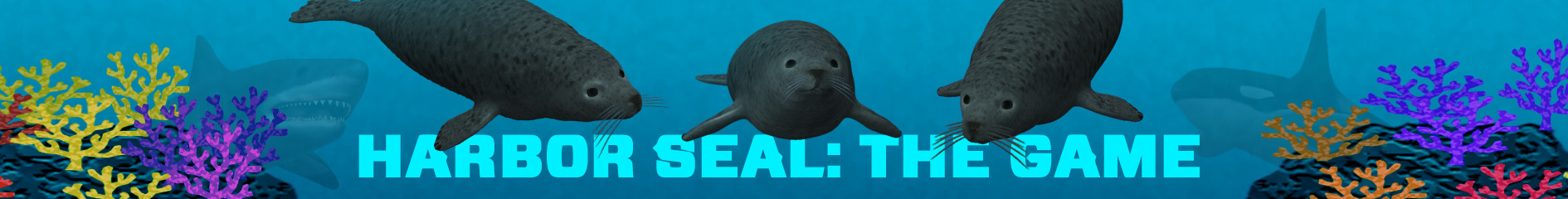 Harbor Seal: The Game