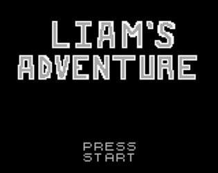 Liam's Adventure