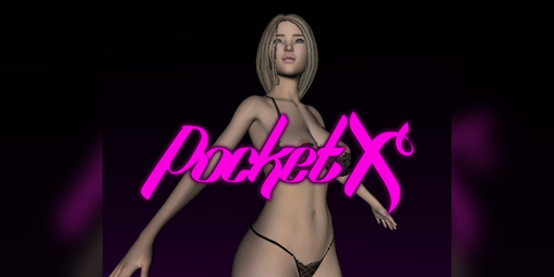 Cover image for Pocket X