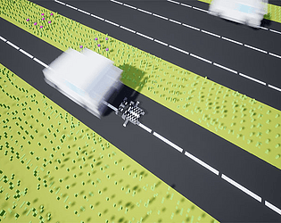 Run Road Raccoon