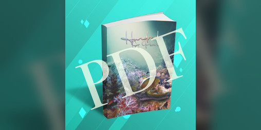 Cover image for Hundreds of Pearls Zine