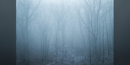 Cover image for The Fear Liath