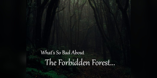 Cover image for What's So Bad About The Forbidden Forest?