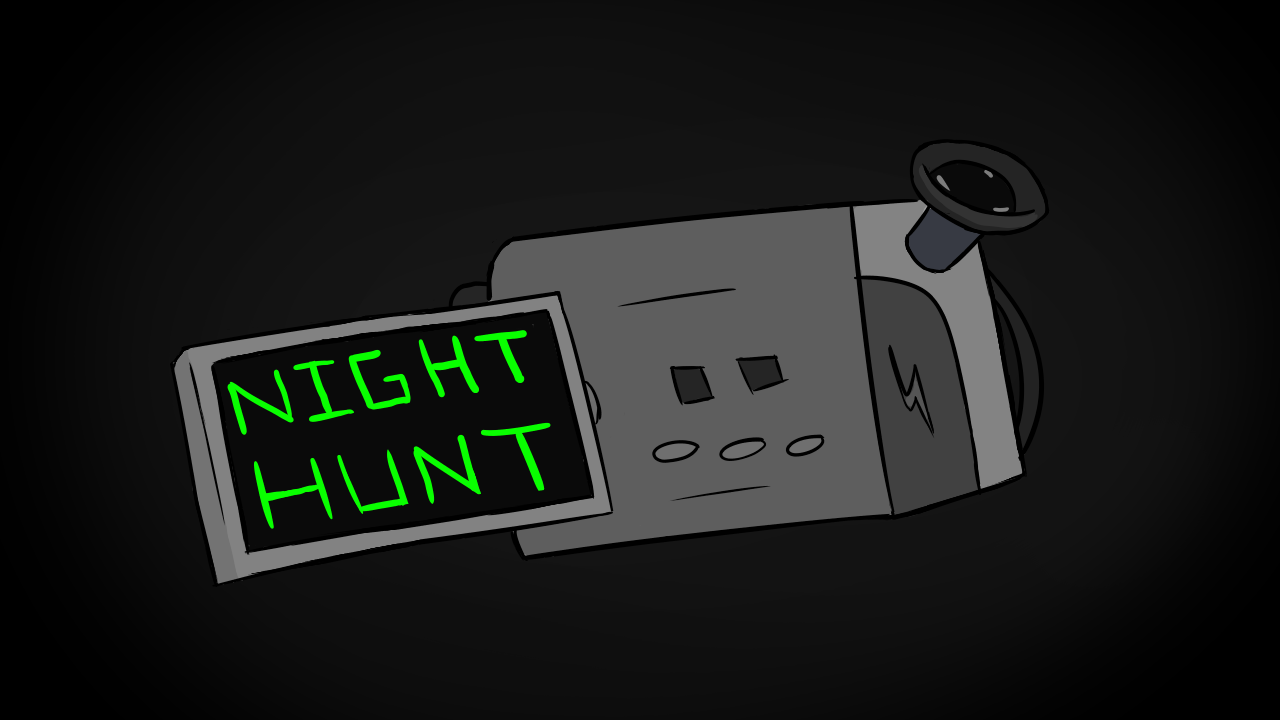 Cover image for Night Hunt