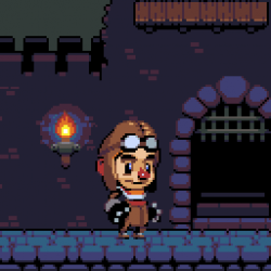 Cover image for Castle Run