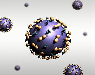 Measles and the MMR Vaccine