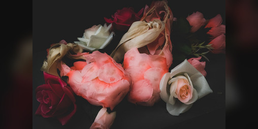 Cover image for A Ballerina's Journey
