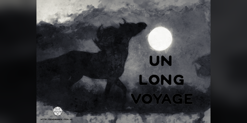 Cover image for Un long voyage