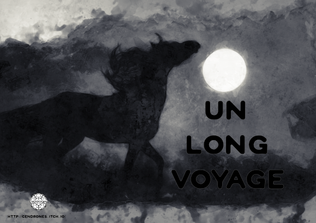 Cover image for Un long voyage
