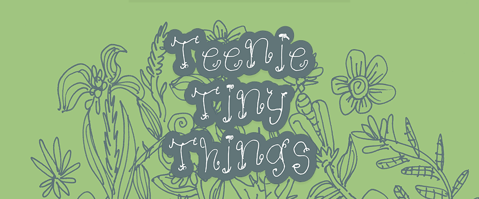 Teenie Tiny Things