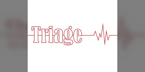 Cover image for Triage