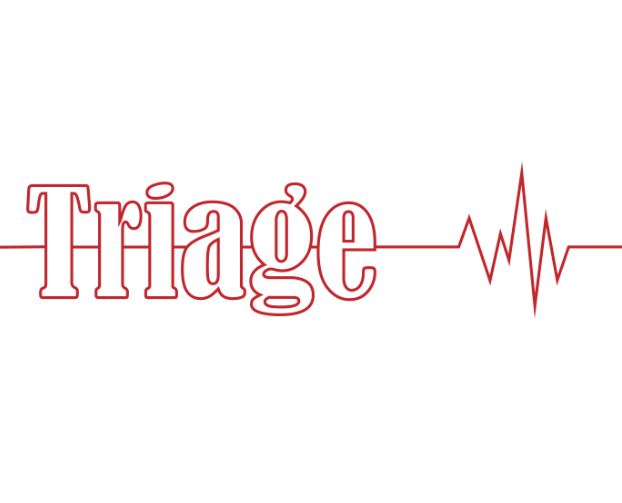 Cover image for Triage
