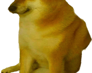 Tamtlı mı Tamtlı Doge Oyunu