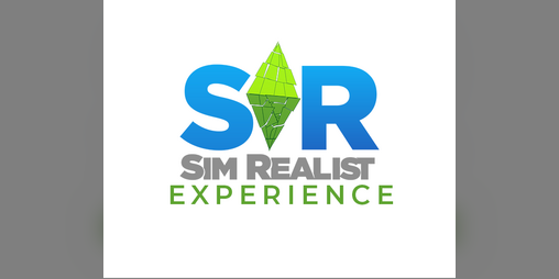 Cover image for The SimRealist Experience
