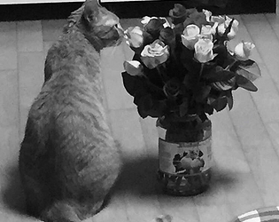 A Flower is not a Flower