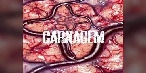 Cover image for Carnagem