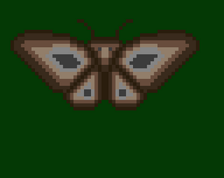 Moth Maze