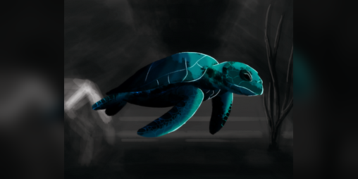 Cover image for In Case of Turtles