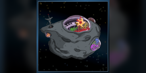 Cover image for Asteroid Gardens